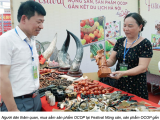 Đọc báo cùng Phân bón Điền Gia | Khai mạc Festival nông sản, sản phẩm OCOP gắn kết du lịch Hà Nội 2022