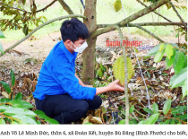 Nông dân Bình Phước trở nên giàu có nhờ trồng sầu riêng – Phân bón Điền Gia 