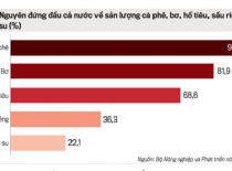 Đọc báo cùng Phân bón Điền Gia | Nông nghiệp Tây Nguyên đang phát triển tùy tiện