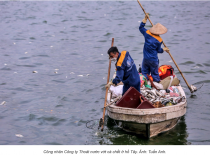 Hà Nội dùng cá hồ Tây làm phân bón, thức ăn chăn nuôi | Đọc báo cùng Phân bón Điền Gia