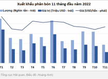 Xuất khẩu phân bón chính thức chạm mốc 1 tỷ USD | Đọc báo cùng Phân bón Điền Gia