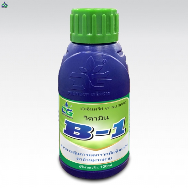 Vitamin B1